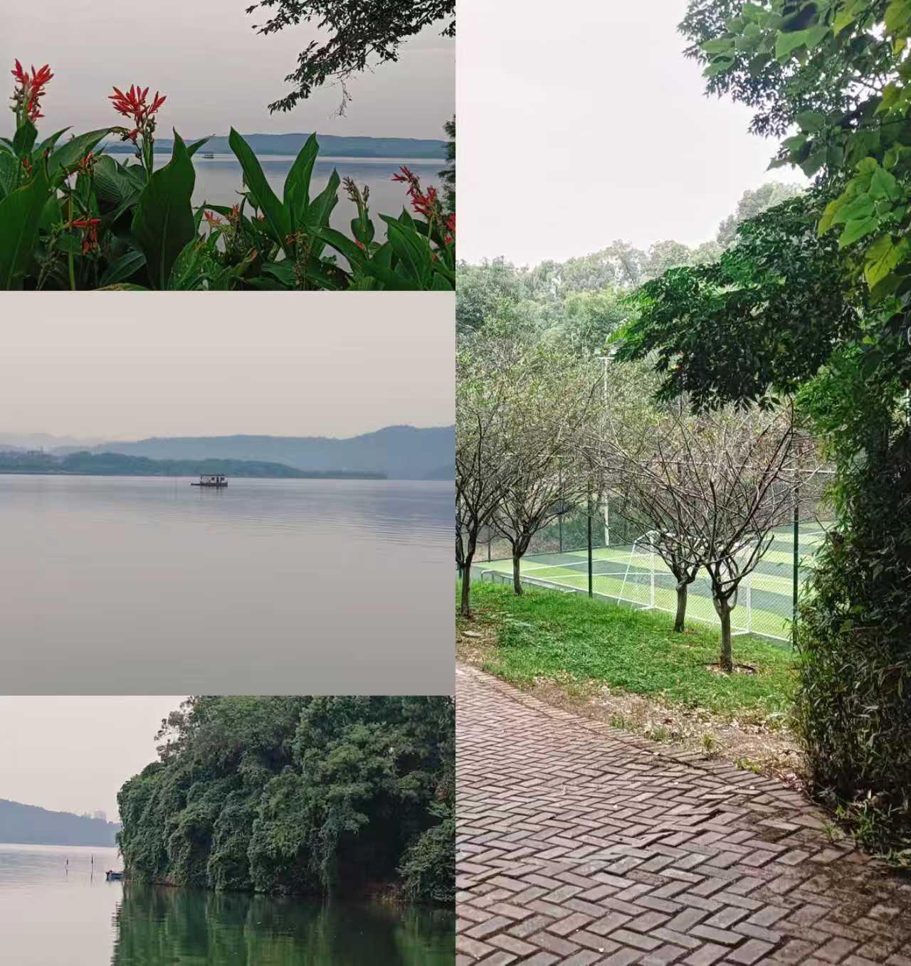 朋友炒股，忍痛斩仓；同学开店，濒临倒闭；老婆上班，被优化了……这个中秋国庆