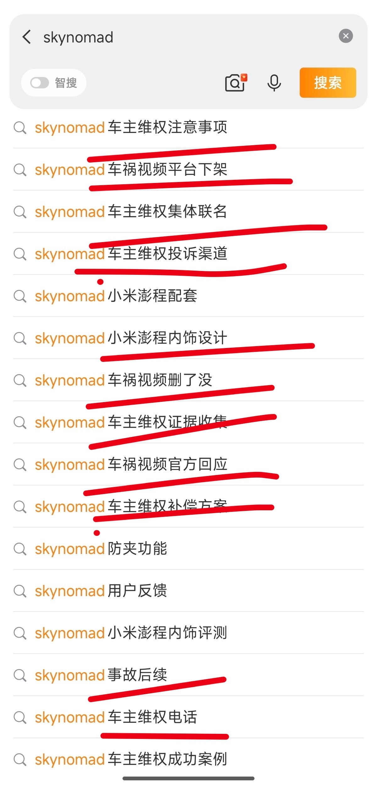 太逆天了。普通人只搜个skynomad弹出了这些东西，会怎么想？