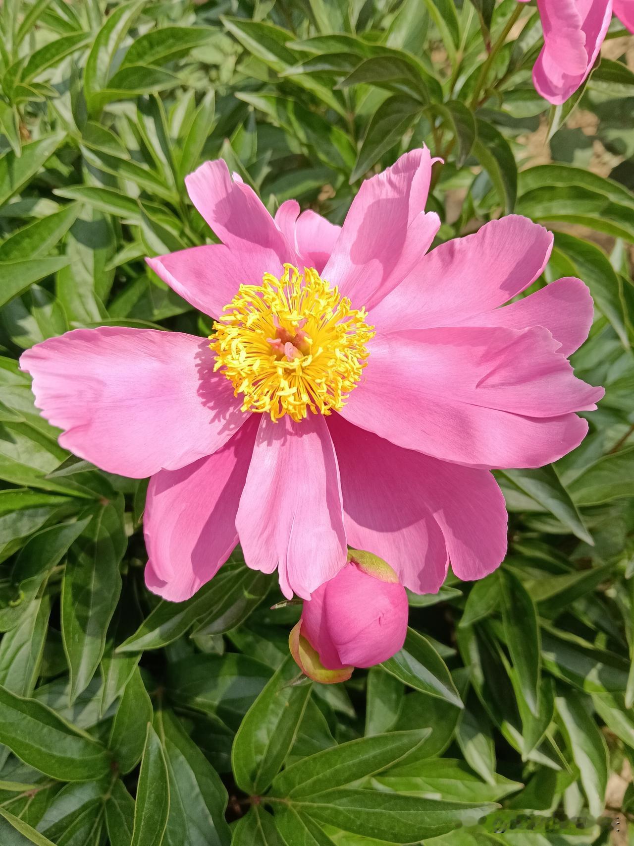 一辈子不生大病的人有以下特征华境S全球首秀标配华为乾崑1、懂得休息，不过度劳