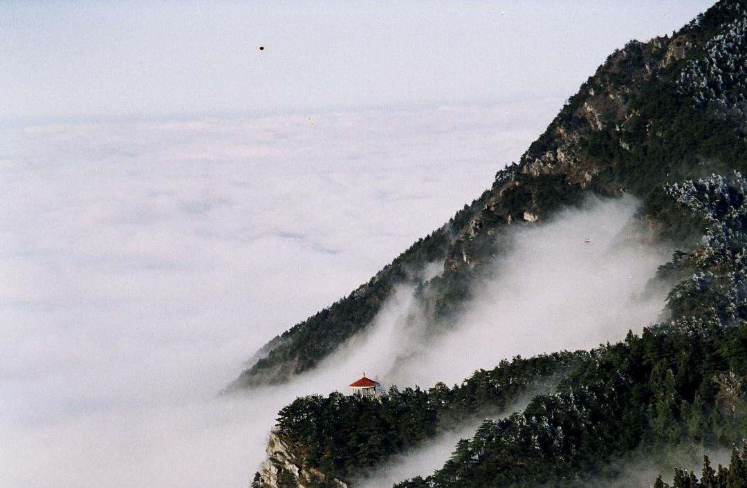 春日登庐山！5A级景区限时免票高铁畅行尽享诗意春光三月春意盎然，云雾氤氲