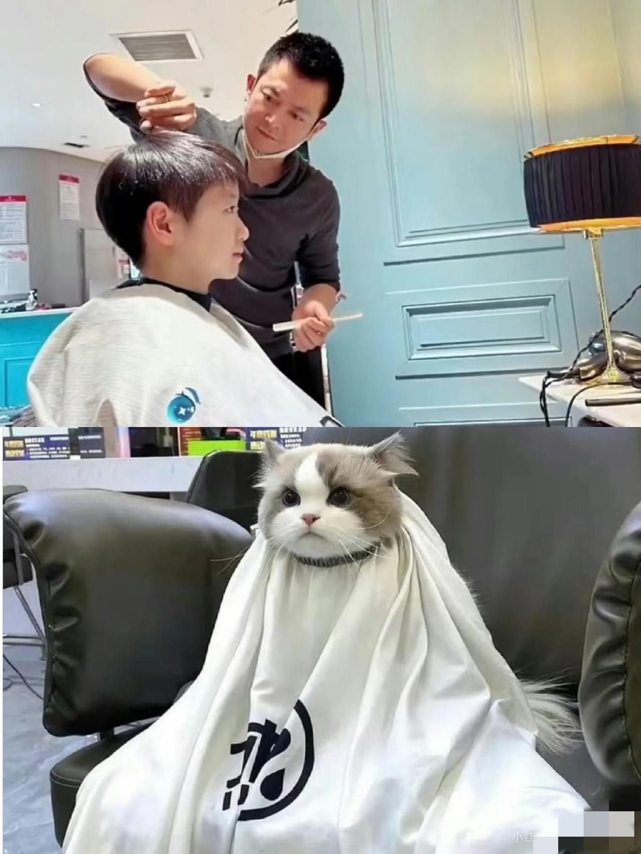 莎莎正脸剪头发照片曝光!海南之行，莎莎改变最大的是头发剪短了。那短发简直比男队