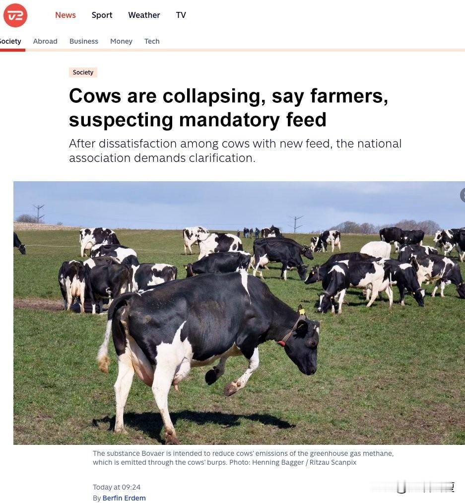 丹麦牛奶也不能喝了。丹麦十月一日起，强制其奶牛场使用酶抑制剂药物博瓦尔（Bo