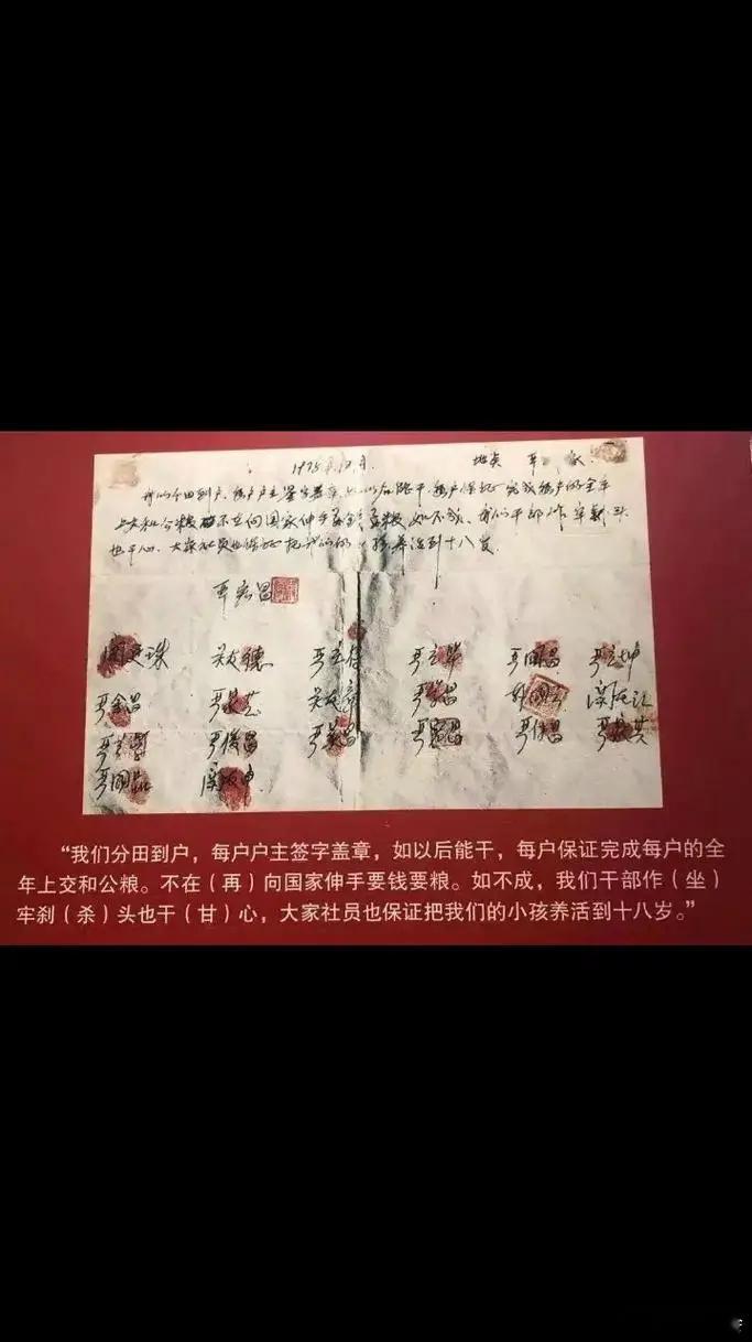 麦子长势太喜人，有了馍馍吃是化肥、农药、良种、水利、机械重要还是大包干重要？我