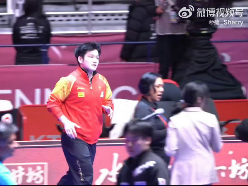 樊振东三七分特别有韵味