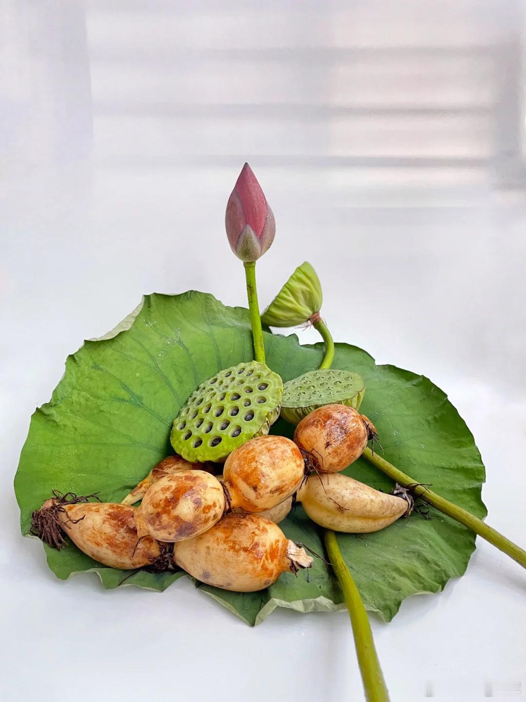  一身全是宝1.莲心静心茶性味配伍：莲子心苦寒，专清心火、平烦躁；麦冬甘寒养阴