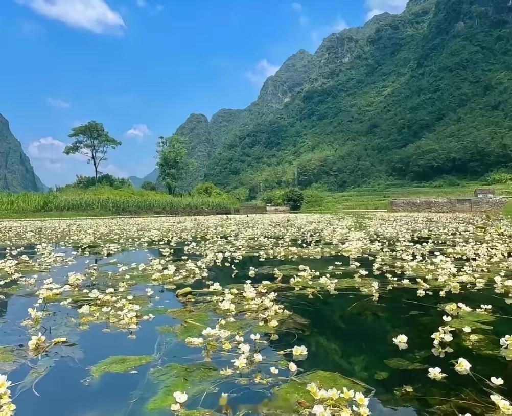 这句话是没有错的：高科技时代，短期缺芯片，长期缺能源，永远缺存储。芯片上升到国家