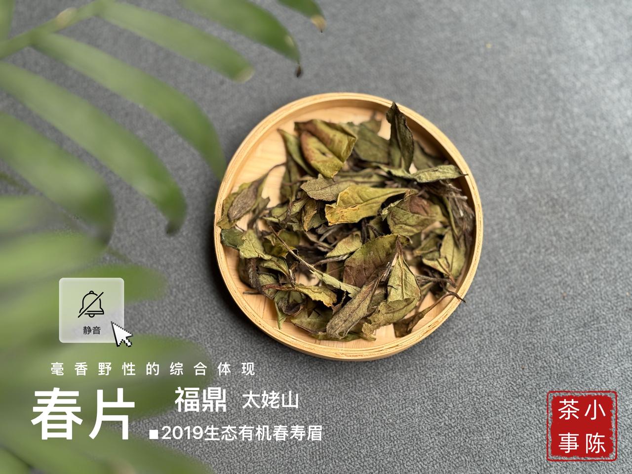 为什么要喝茶？这4句话很有道理！我们总说自己是有“喝茶血脉”的，每到一定的年龄