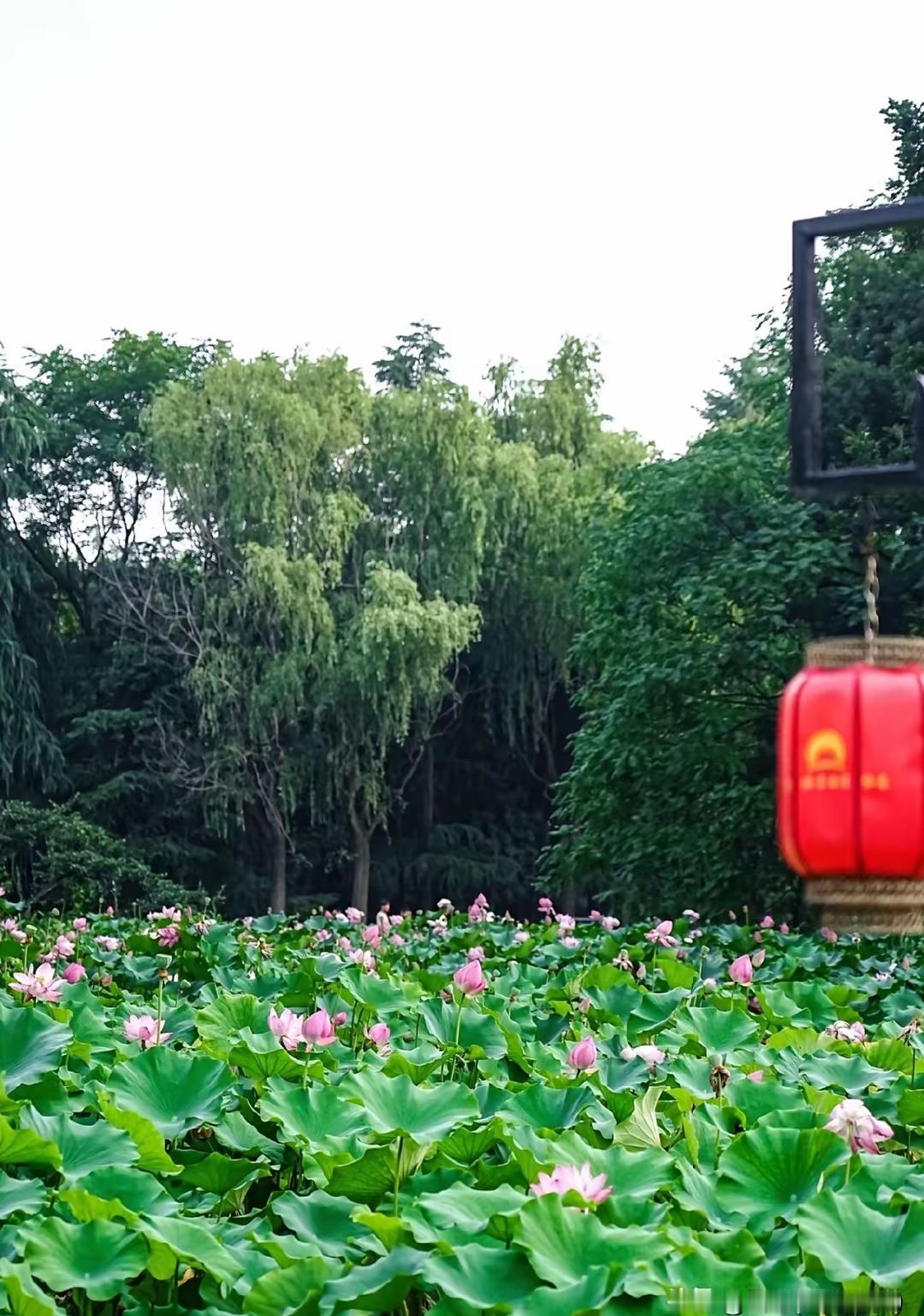 现在最吃香的养老方式，不是保姆，不是养老院，而是花十几块钱，让同楼栋的邻居上门搭