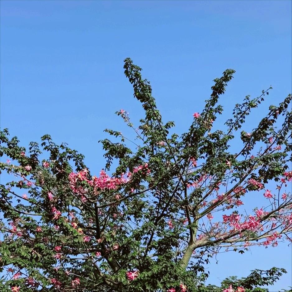 大连迎来新的政府主要负责同志 近日，该市迎来新的政府主要负责同志。 该同