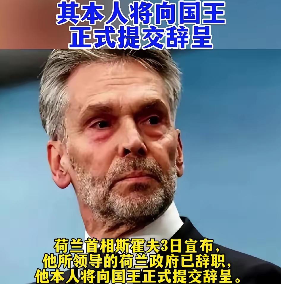 刚官宣！荷兰首相连夜辞职！抢中国芯片逼得德国工人失业，15万人上街怒喊：滚蛋！
