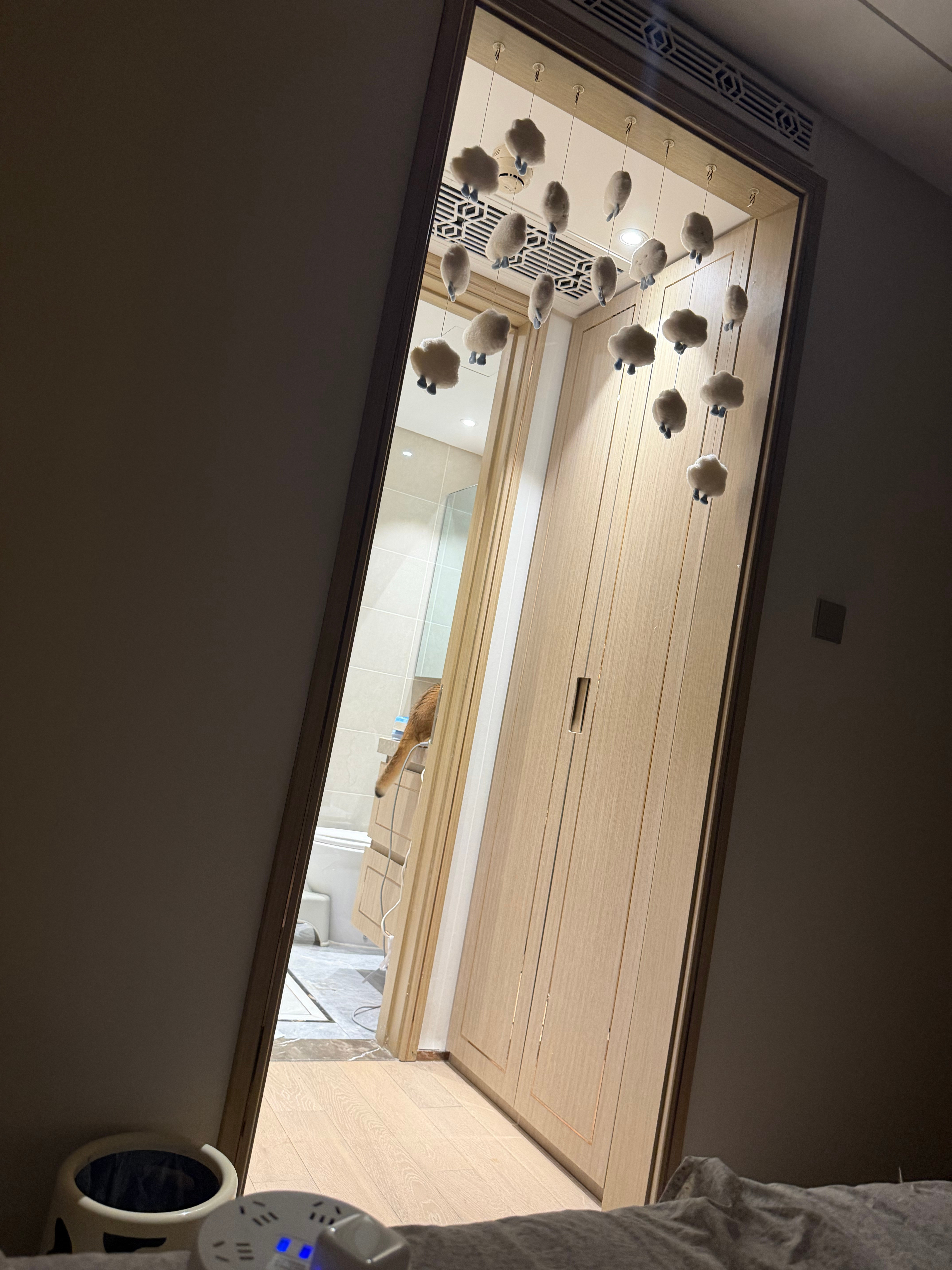 自恋🌲在那照镜子呢​​​