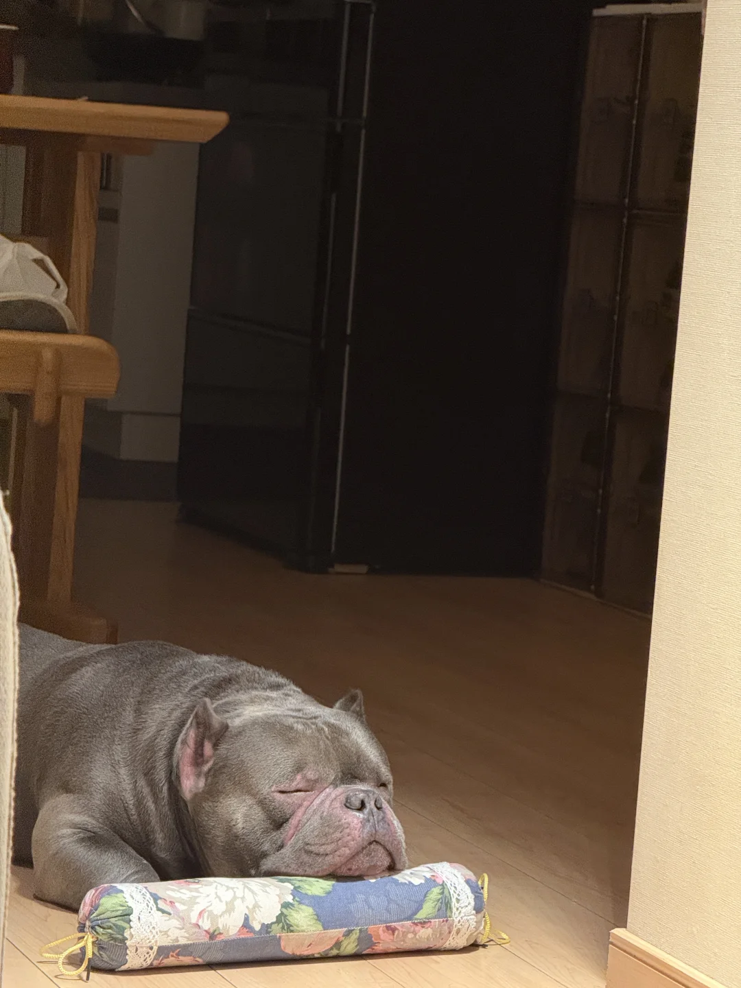 又睡了💤