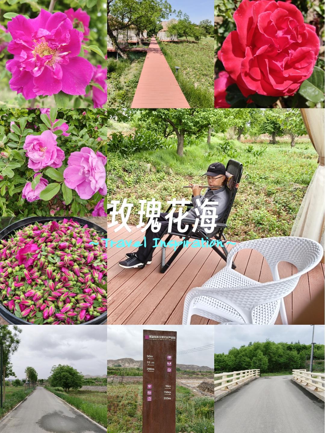 甘肃省兰州市永登县苦水镇玫瑰产业园就是要对自己好一点，好好的放松放松，结果开