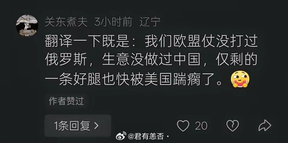 中国缺的是这种天才翻译，这才是翻译的最高境界，是欧盟的心里话