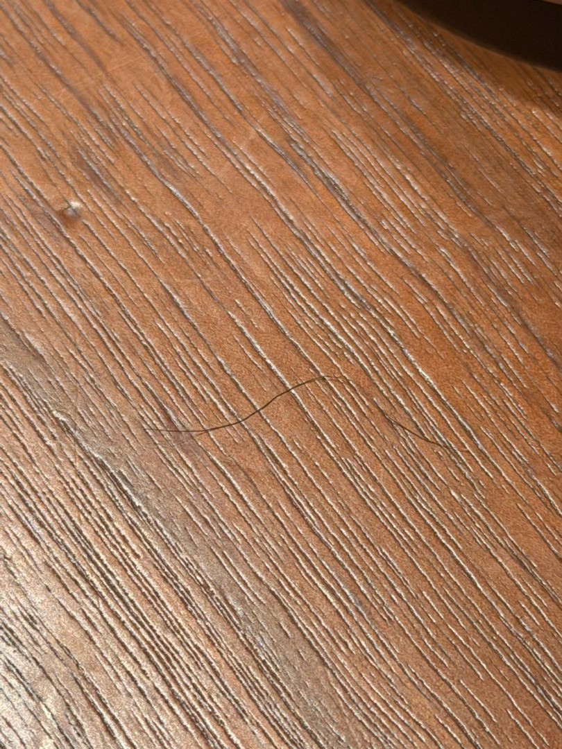 饭桌上怎么有根毛，还是卷的
