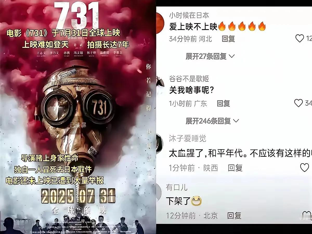 哎，那部《731》电影真是够惨的，拍了好几年，导演赵宝林也是拼了，自掏腰包跑去日