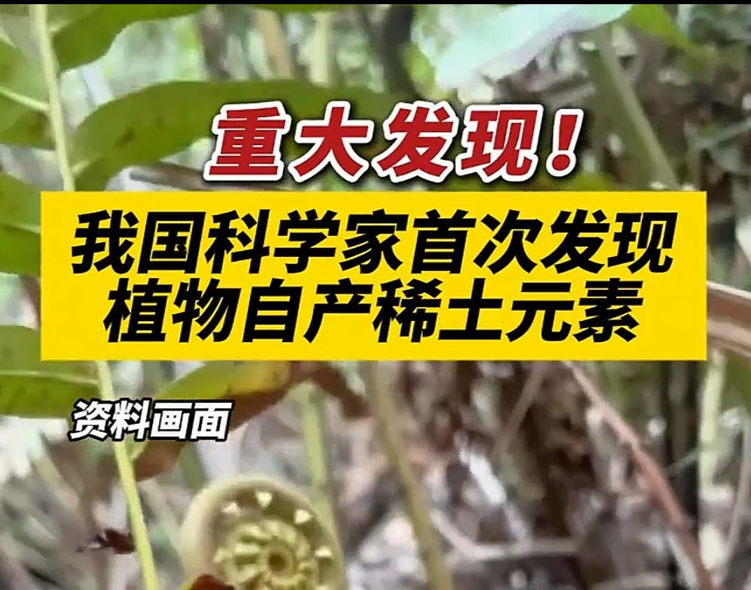 科学家都无法解决的问题，却被小小的乌毛蕨给解决了！1、稀土不可再生，无法回收