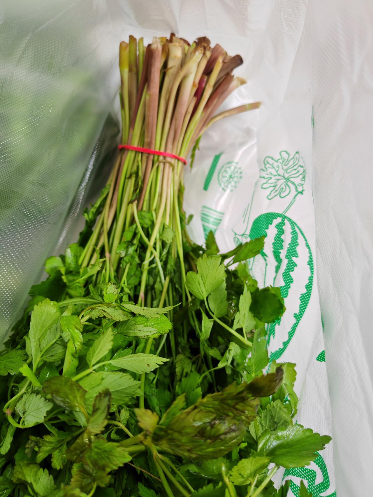 野芹菜有一种特殊的香味，在我家只有我一个人爱吃，以后不买了，可能快过季了吧，气味