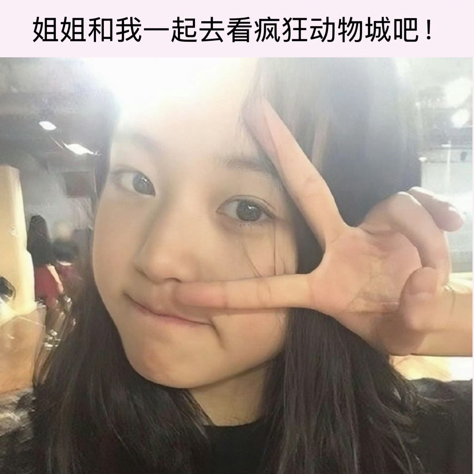 张元英宝格丽活动生图【张元英】对疯狂动物城1和2相隔九年有了更清晰的认知…年