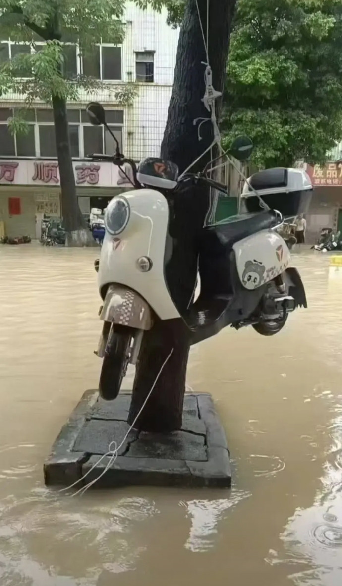 东莞又是天天下雨，电动车已经都挂树上了