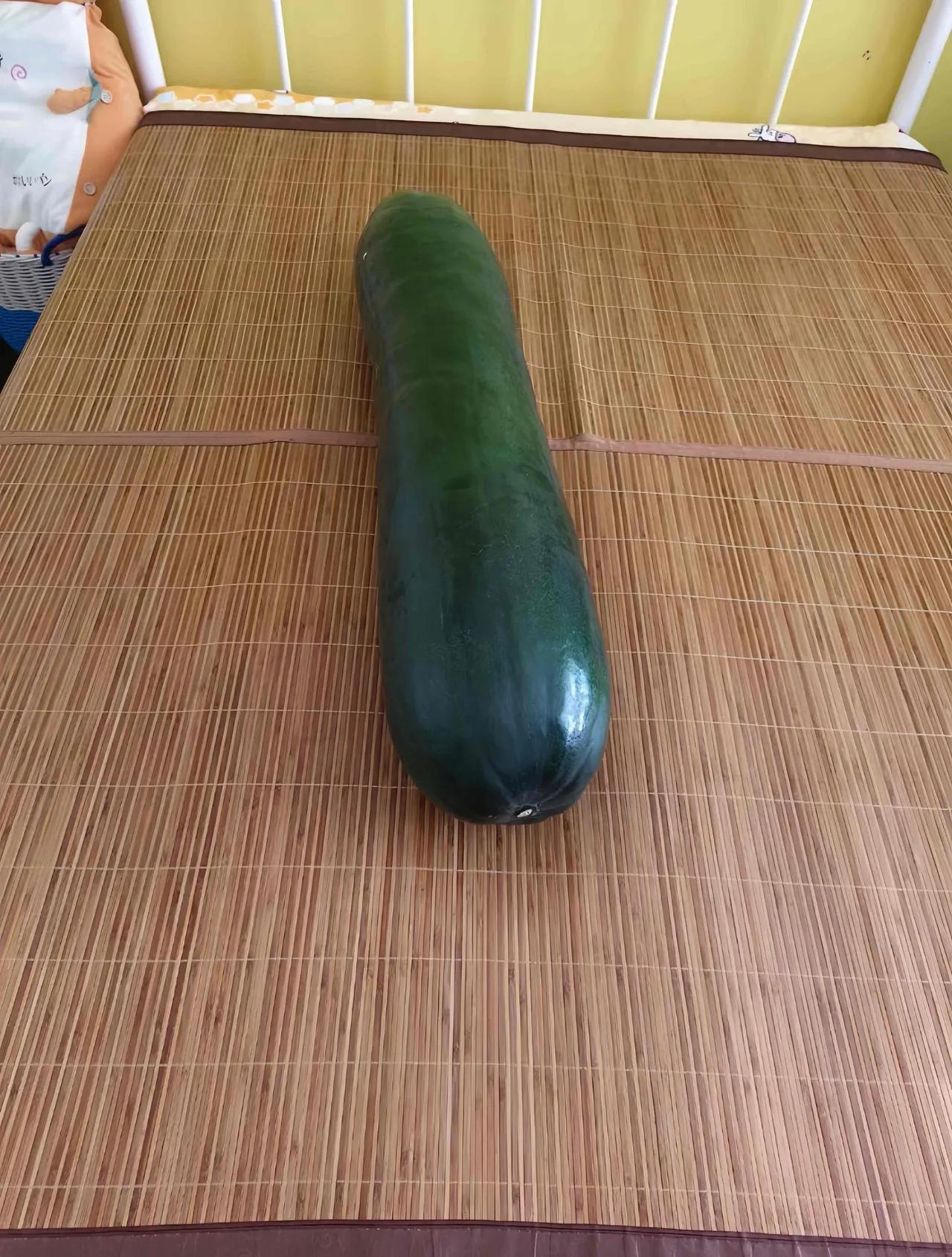 有盘核桃的有盘珠子的还有盘冬瓜的