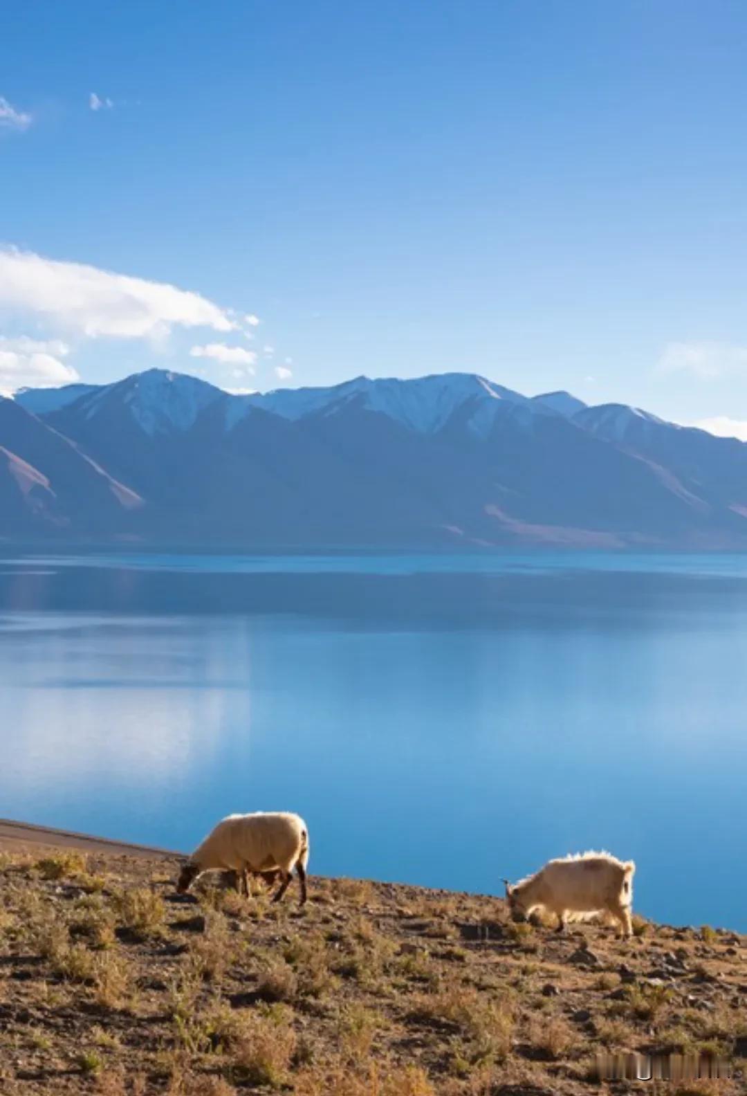 复旦大学教授陈果说：“无论我们活了多久，是70岁，还是80岁，或是90岁，其实，