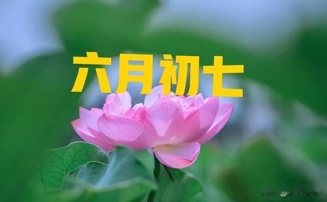 初一不如初七灵！六月初七到底有多灵？看看农谚怎么说？老辈种地人常说：初一不
