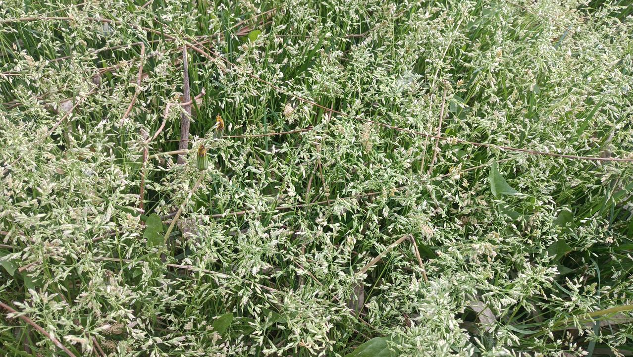 我一好朋友老公脸上突然长了颗痣，一两年间在变大，很担心。在成都某三甲医院看，说要