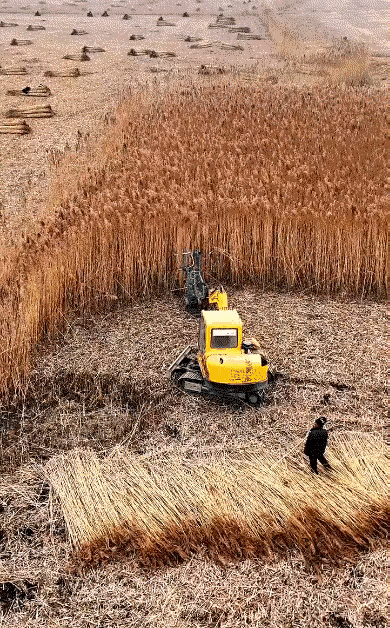 这效率还是蛮高的