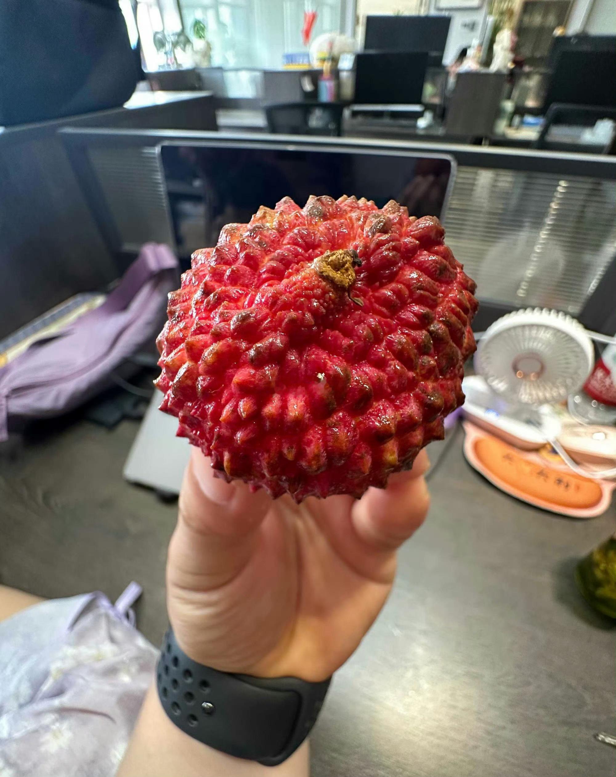吃过这么大的荔枝我可以吹很久了