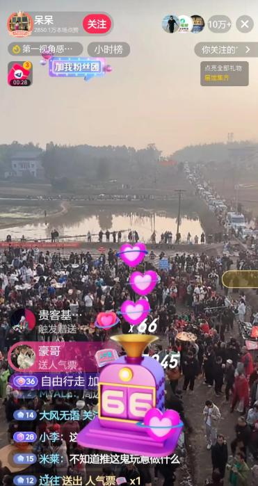 呆呆全程没笑脸，其实不是没有原因的！两头土猪按18元/斤算，约800斤，光肉值就