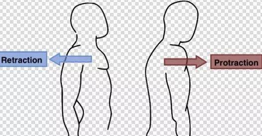 健身正确姿势: 肩膀中立位的重要性!