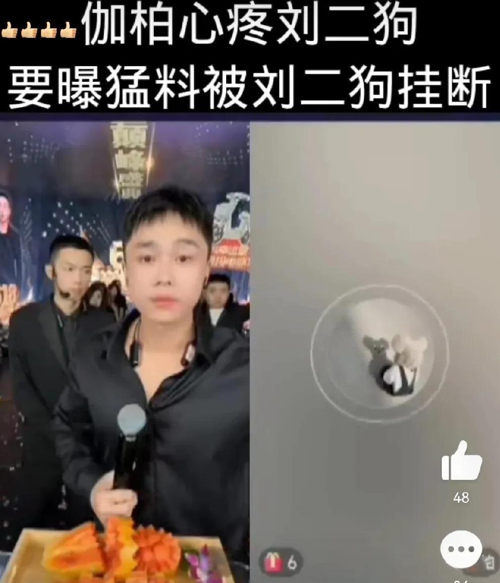 伽柏欲曝猛料被刘二狗紧急挂断！最近几天刘二狗被黑的挺狠的，
