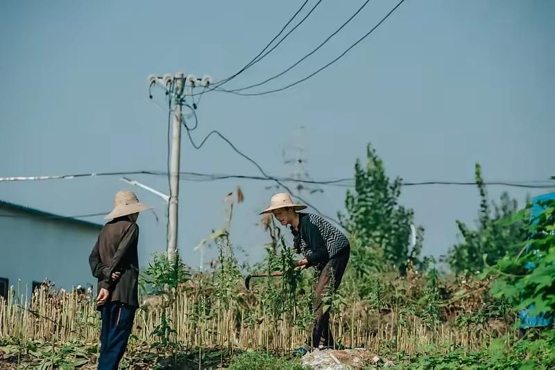我今年60岁，没有养老金，儿媳让我出去找活干，我没答应，打算直接回乡下老家。