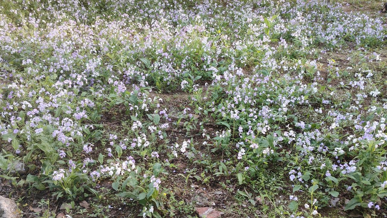 警句：“不要追马，去种草；待到春暖花开，骏马自来。”小故事：一个年轻人想