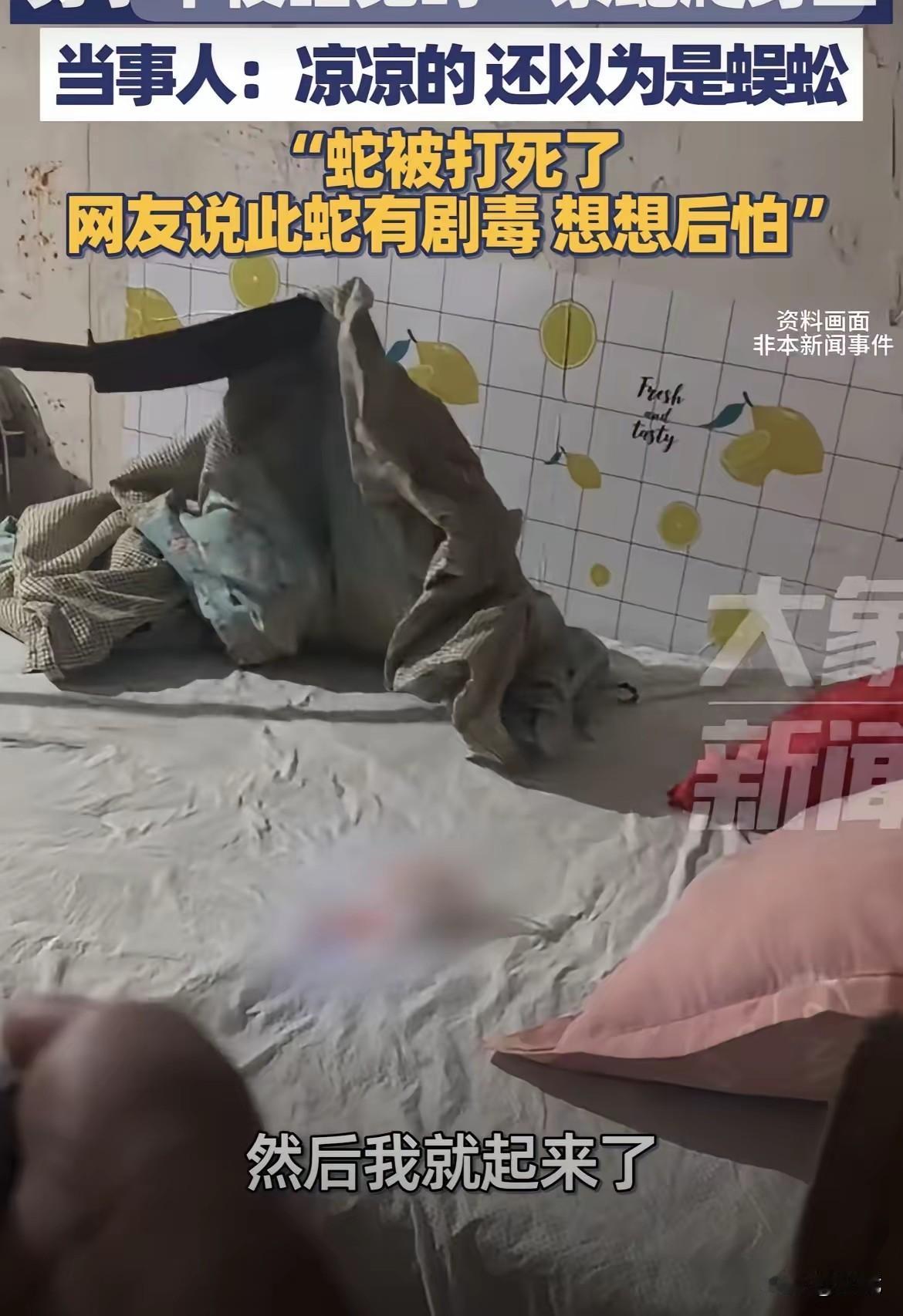 常州男子夜半惊魂：被窝里竟藏剧毒蛇9月23日凌晨，江苏常州一名男子在睡梦中被