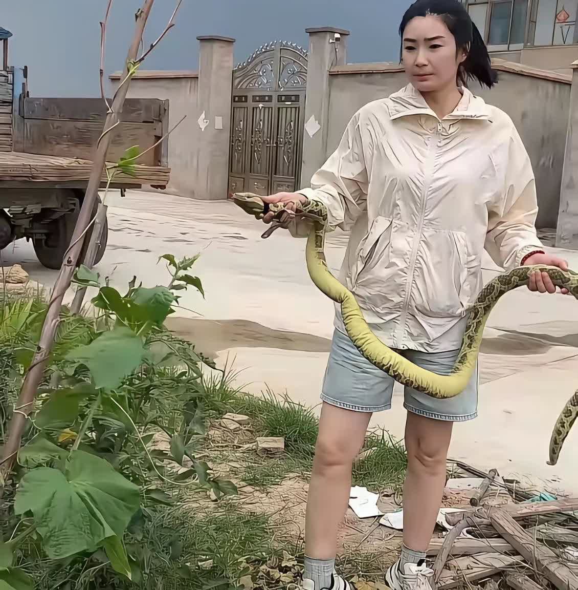 湖南，有一名女子门前的蔬菜地经常被人偷瓜菜，眼看自己辛辛苦苦种的瓜菜被人偷，却一