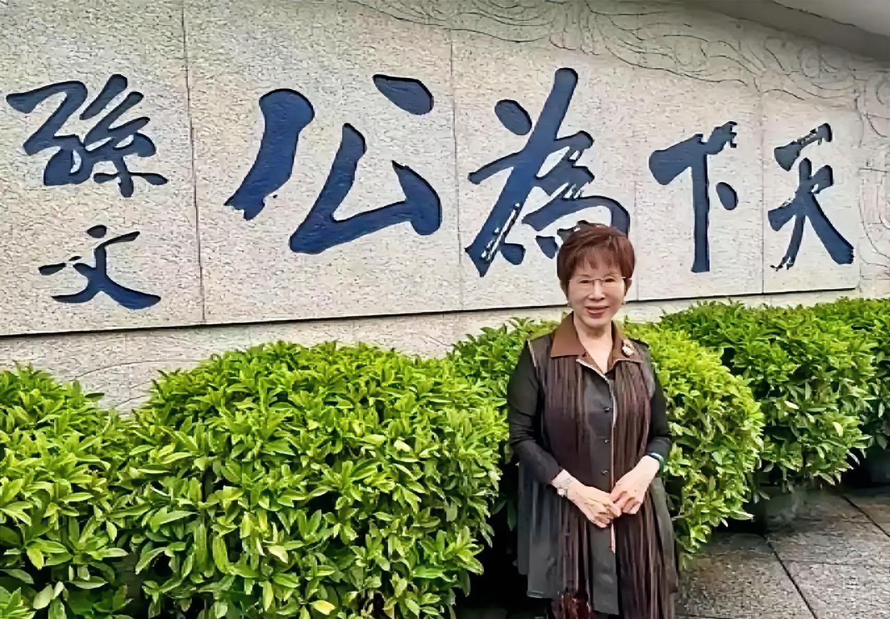 国民党前主席洪秀柱今（15日）在脸书发文表示，今天，我正在广东中山走访台商。看见
