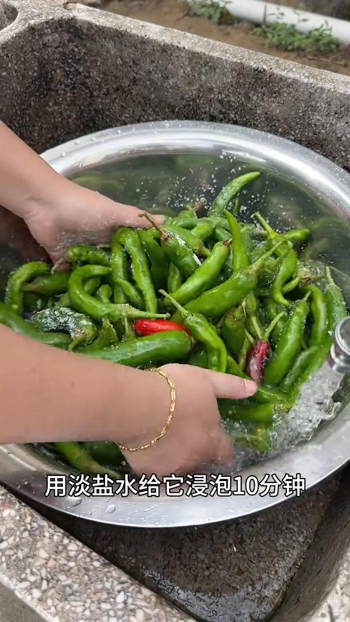 直接放生水真的不会长白花。姐妹们，又到了做酸辣椒的季节了。每年这个季节我都会腌好
