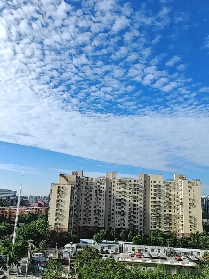 一、先分清：你要举报的归谁管"违法违纪"是个混称，里面其实分两摊：-党