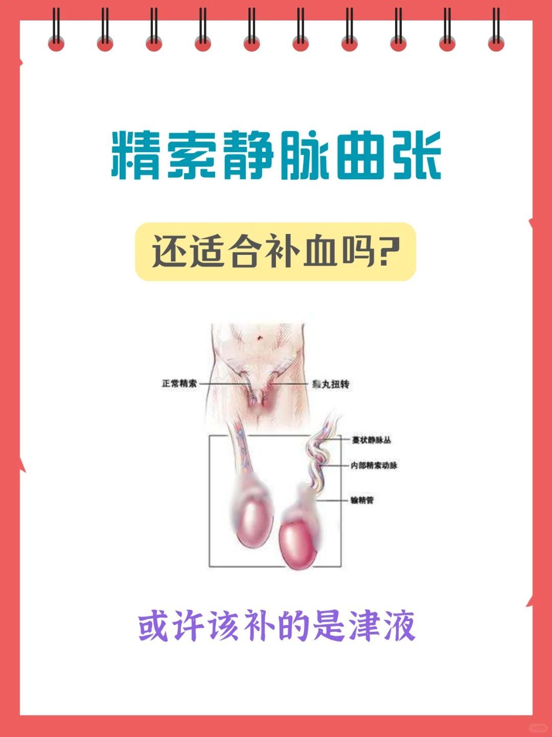 精索静脉曲张术后，需要专门补血吗？