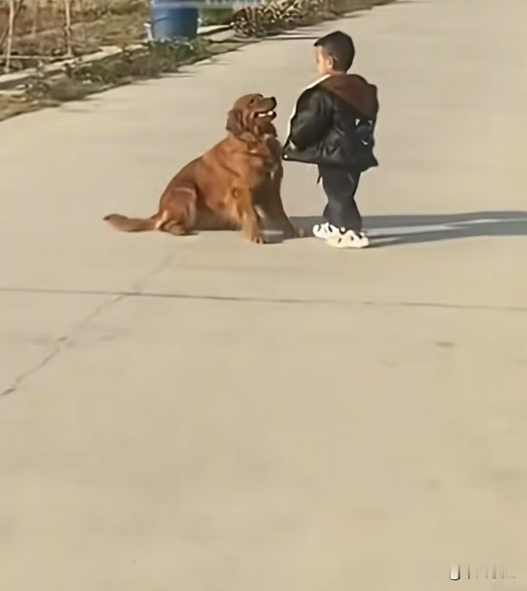 小主人带着狗狗出去玩，狗狗和小主人嬉闹着抢他的蛋糕，小主人气呼呼地打了它一耳光。