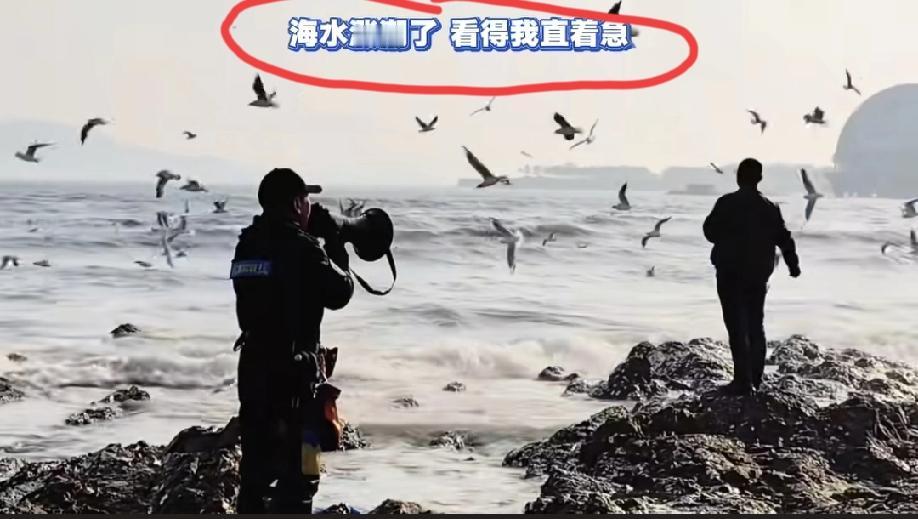 山东青岛。志愿救援人员发视频吐槽:马上涨潮了，高音喇叭都喊到冒烟了，部分游客还