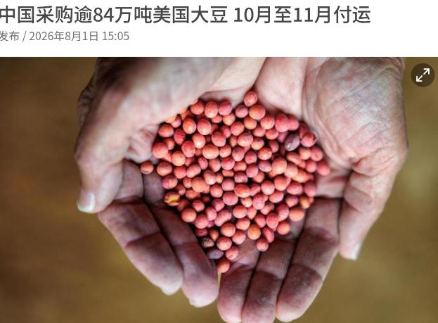 中美两国谈妥了！8月1日，根据联合早报报道，两名美国交易商透露称，中国买家采购了