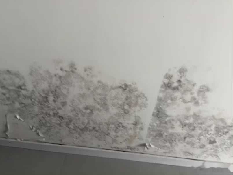 皮沙发一定要和墙分开