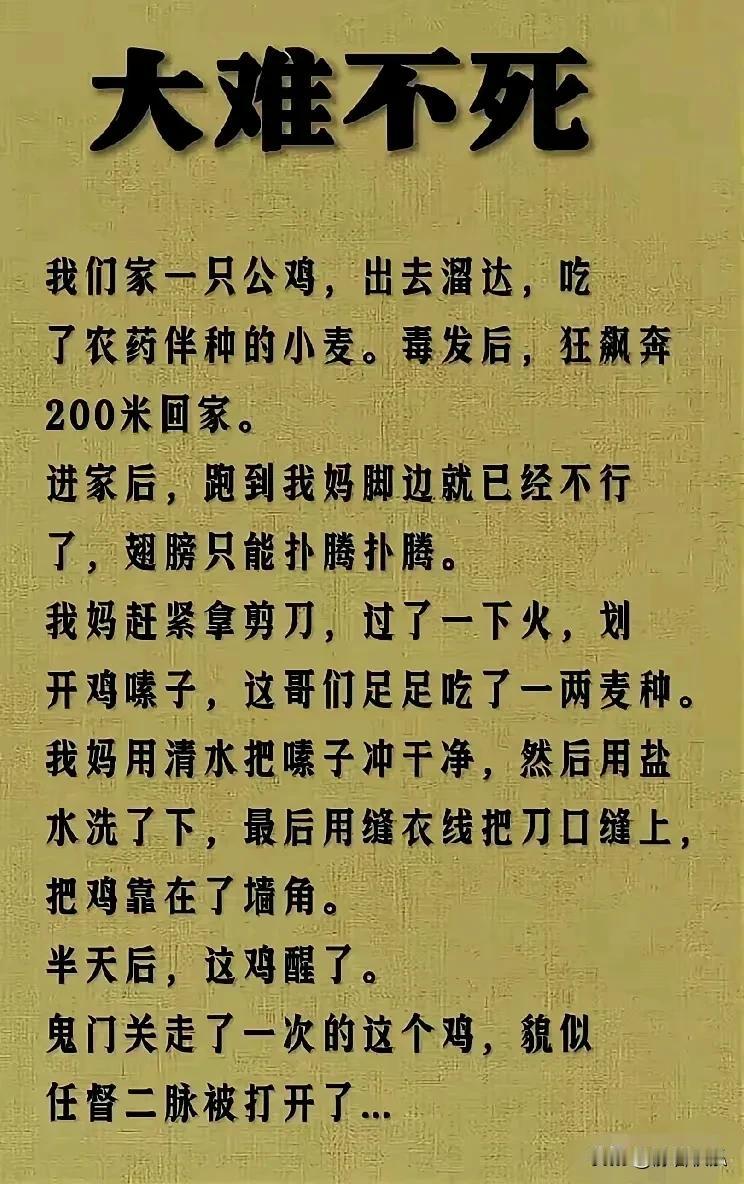 后来呢？鸡考上蓝翔技校了么？[呲牙笑]