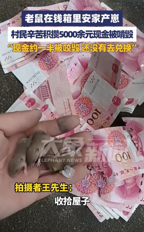 担心的事还是发生了！9月28日，河南驻马店，一男子在家中干活时，意外找到了一个装
