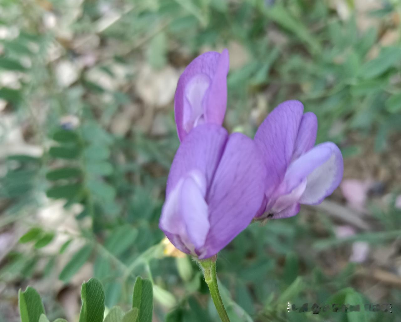 工作常见的阴招，狠招（附解药)1、领导当着更大领导的面，将责任推给你。嘴笨