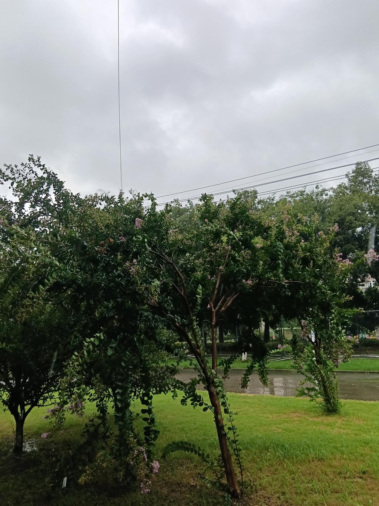 一场急雨，看见泰州街头最真实的模样大雨突袭泰州，整座城市被笼罩在灰蒙蒙的雨