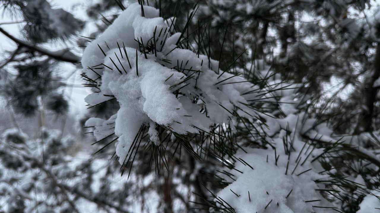刘备、刘邦、刘秀虽都姓刘且有汉室血脉，但差别不小。刘邦打仗表现不稳定，时而能和